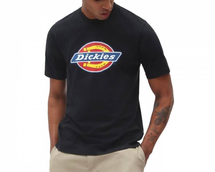 DICKIES T-SHIRT UOMO DK0A4XC9