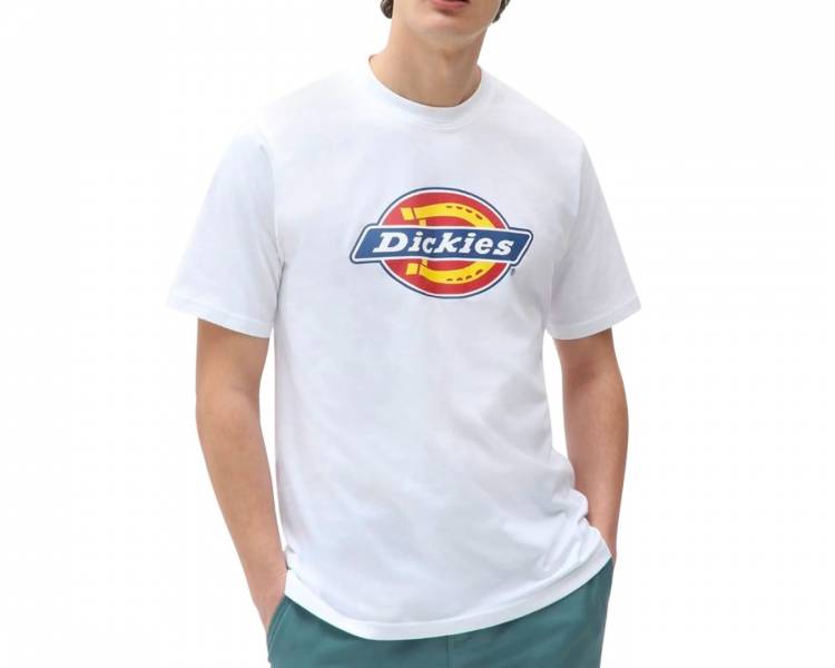 DICKIES T-SHIRT UOMO DK0A4XC9